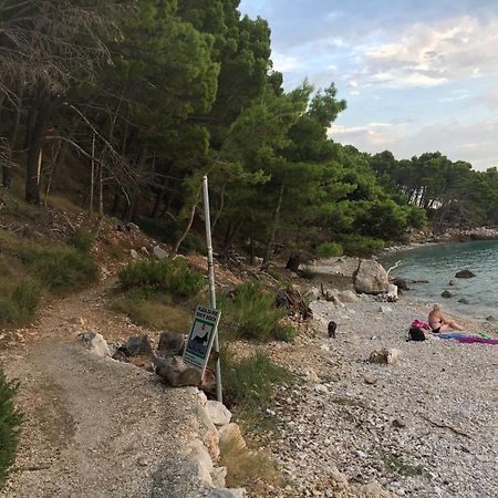 Blue Shell Trogir Apartment ห้อง รูปภาพ